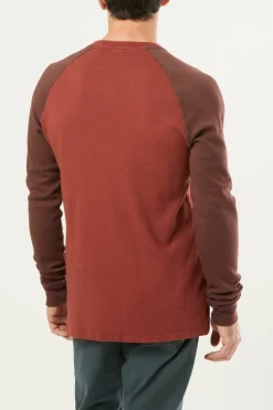 E9 Nino2.2 Paprika Discount